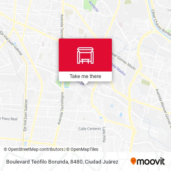 Boulevard Teófilo Borunda, 8480 map