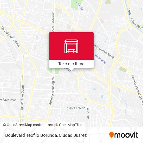 Boulevard Teófilo Borunda map