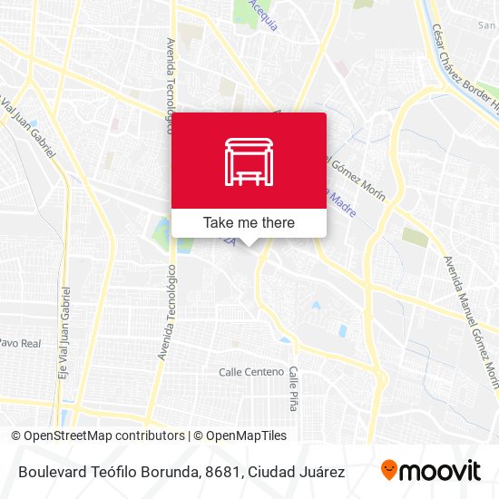 Boulevard Teófilo Borunda, 8681 map