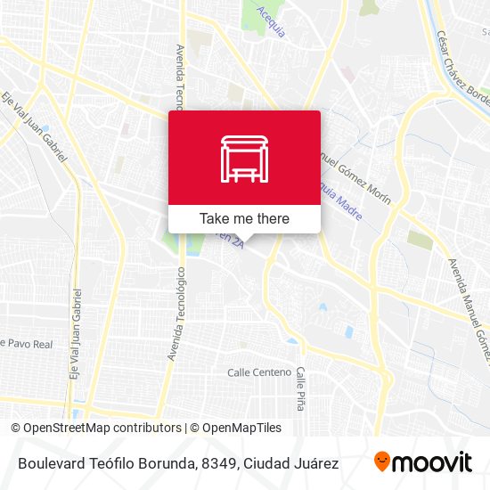 Boulevard Teófilo Borunda, 8349 map