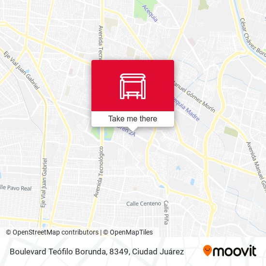 Boulevard Teófilo Borunda, 8349 map