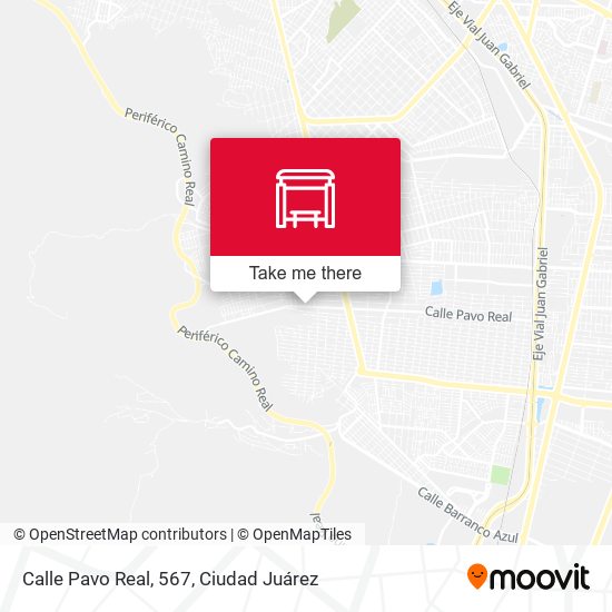 Calle Pavo Real, 567 map