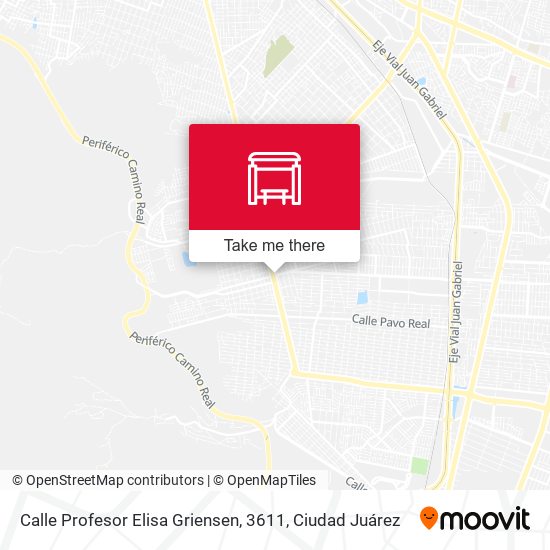 Calle Profesor Elisa Griensen, 3611 map