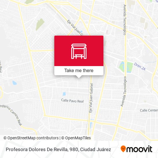 Mapa de Profesora Dolores De Revilla, 980