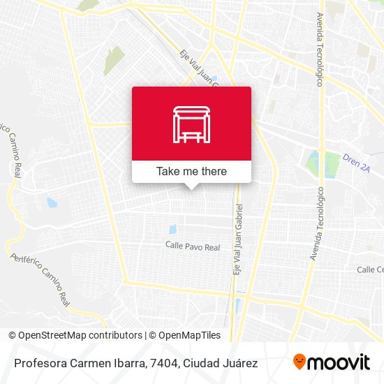 Profesora Carmen Ibarra, 7404 map