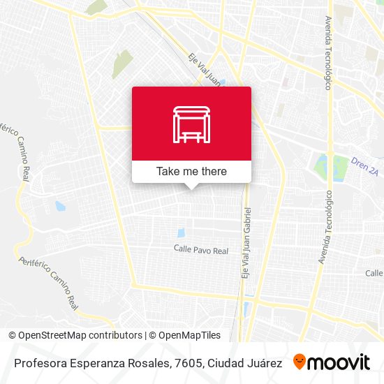Profesora Esperanza Rosales, 7605 map