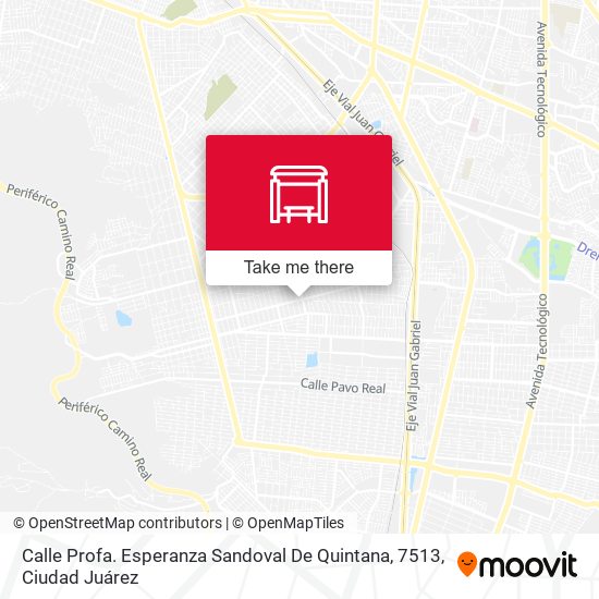 Mapa de Calle Profa. Esperanza Sandoval De Quintana, 7513