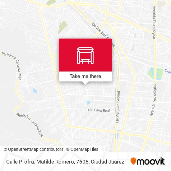 Mapa de Calle Profra. Matilde Romero, 7605