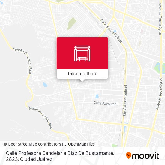 Calle Profesora Candelaria Díaz De Bustamante, 2823 map