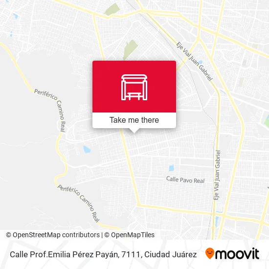 Mapa de Calle Prof.Emilia Pérez Payán, 7111