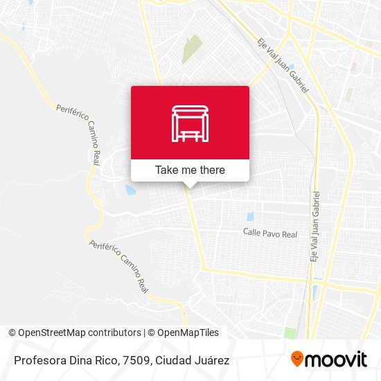 Profesora Dina Rico, 7509 map