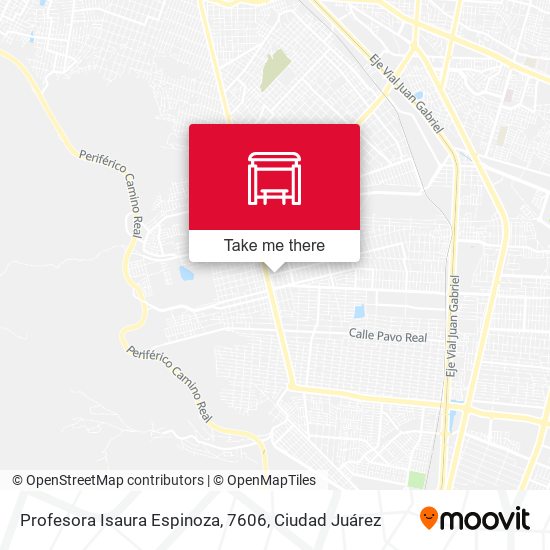 Profesora Isaura Espinoza, 7606 map