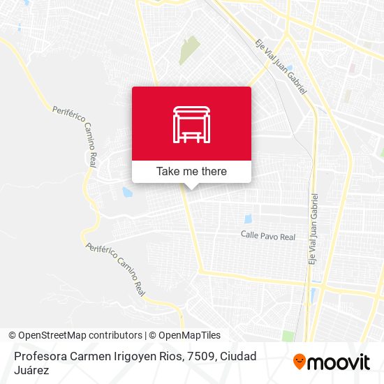 Profesora Carmen Irigoyen Rios, 7509 map