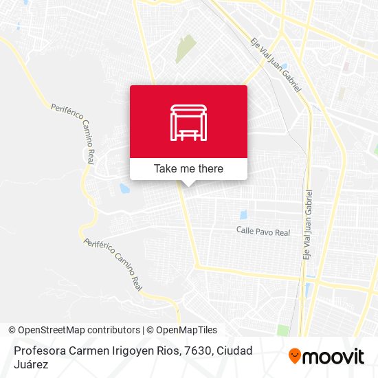 Profesora Carmen Irigoyen Rios, 7630 map
