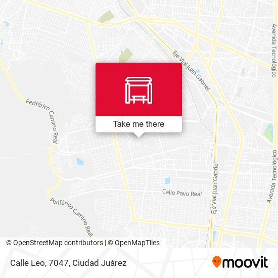 Calle Leo, 7047 map