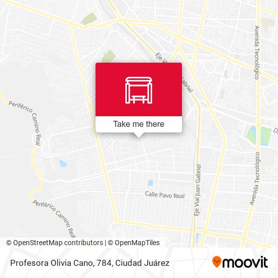 Profesora Olivia Cano, 784 map