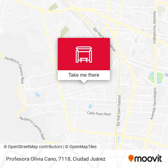 Profesora Olivia Cano, 7118 map