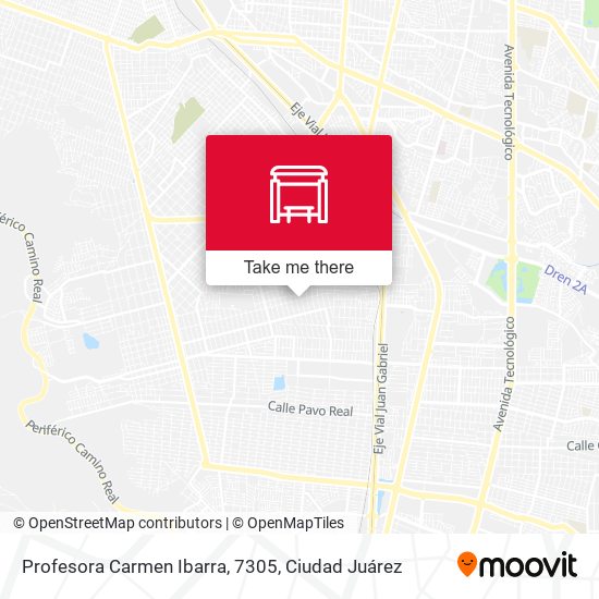 Profesora Carmen Ibarra, 7305 map