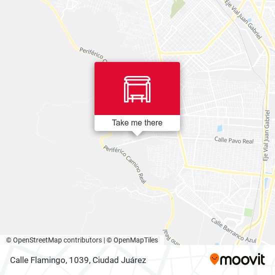Mapa de Calle Flamingo, 1039