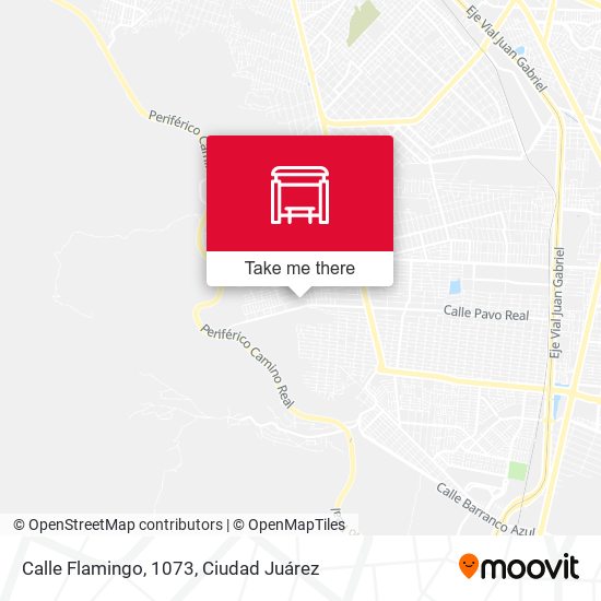 Calle Flamingo, 1073 map