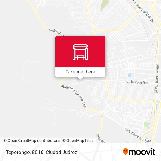 Tepetongo, 8016 map