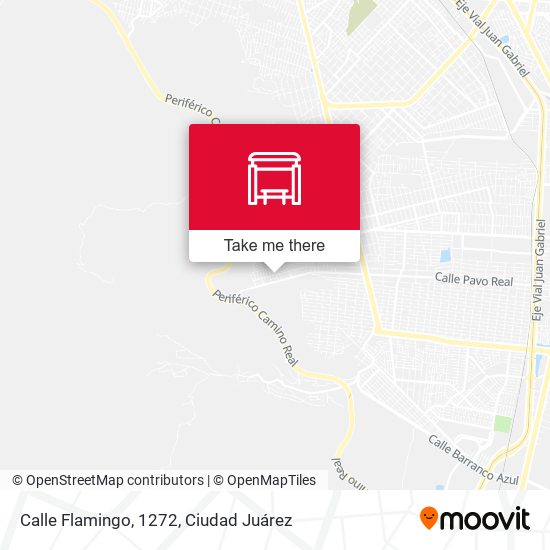 Calle Flamingo, 1272 map