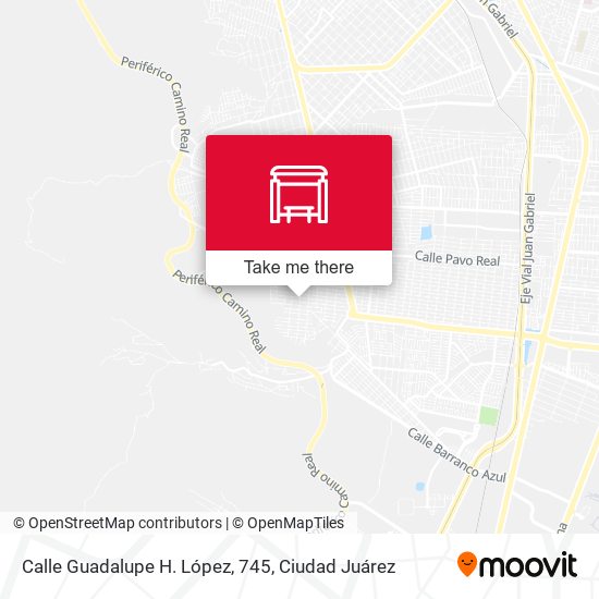 Calle Guadalupe H. López, 745 map