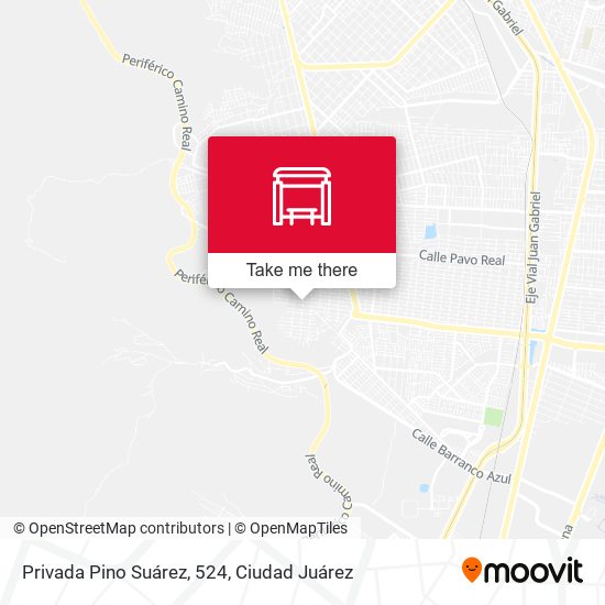 Privada Pino Suárez, 524 map