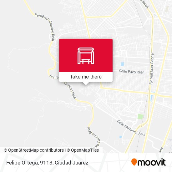 Felipe Ortega, 9113 map