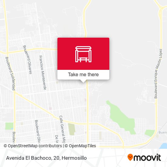 Avenida El Bachoco, 20 map
