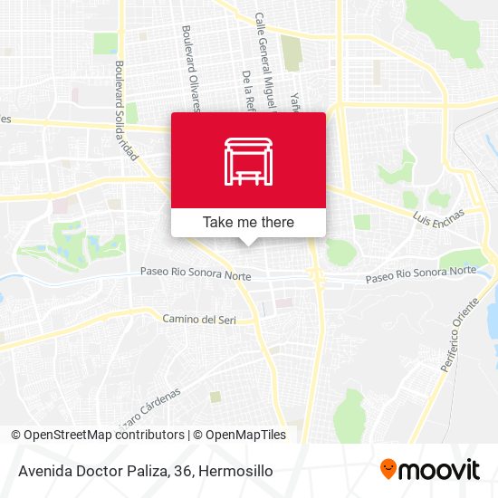 Avenida Doctor Paliza, 36 map