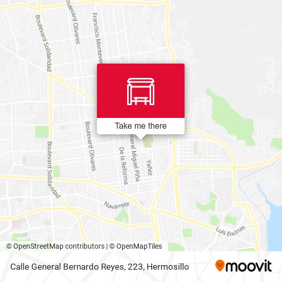 Mapa de Calle General Bernardo Reyes, 223