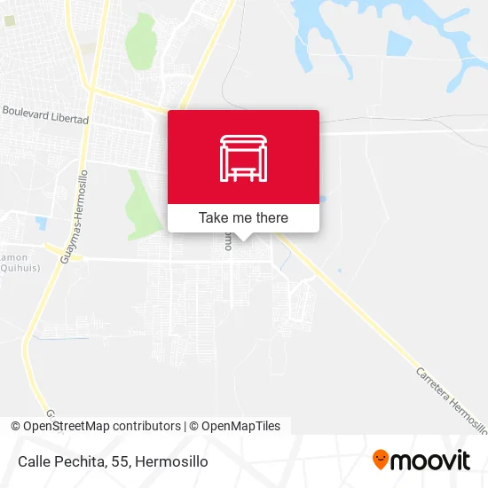 Calle Pechita, 55 map