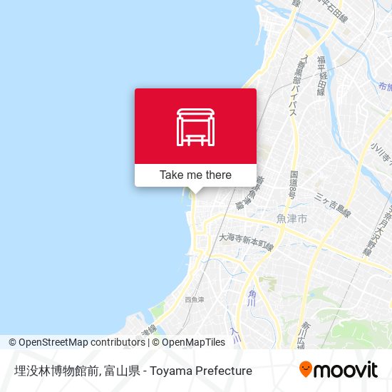 埋没林博物館前 map