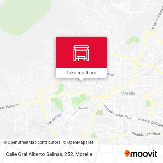 Calle Gral Alberto Salinas, 252 map
