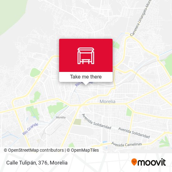 Calle Tulipán, 376 map