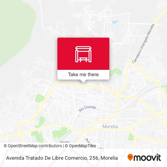 Avenida Tratado De Libre Comercio, 256 map