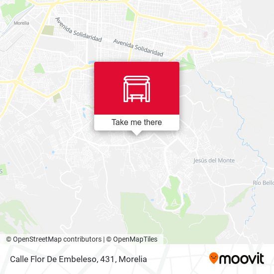 Calle Flor De Embeleso, 431 map