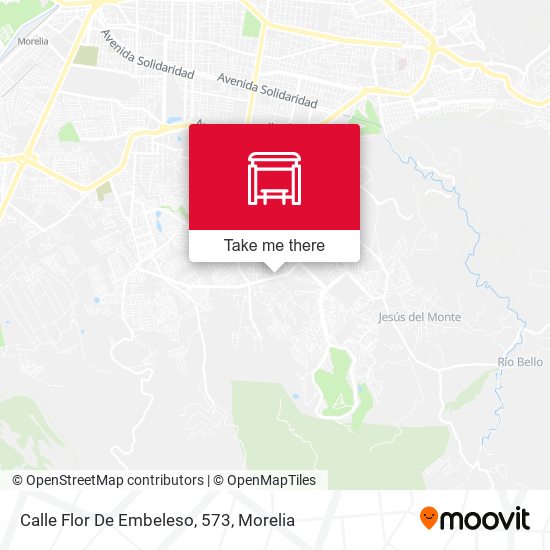 Calle Flor De Embeleso, 573 map