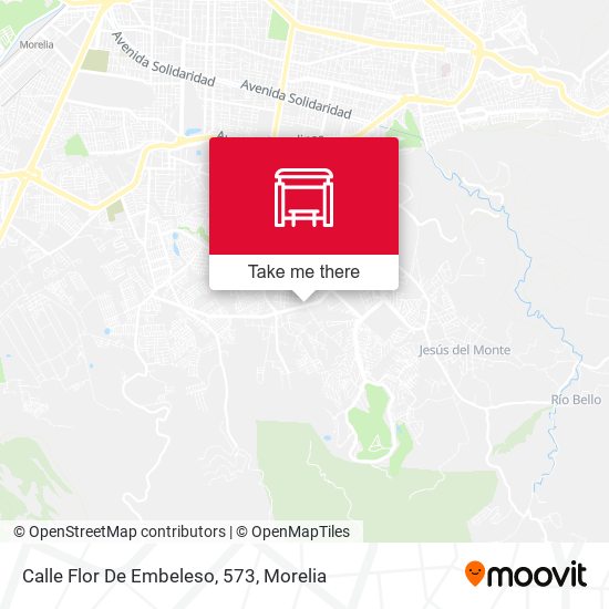 Calle Flor De Embeleso, 573 map