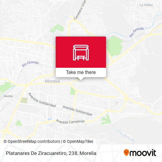 Platanares De Ziracuaretiro, 238 map