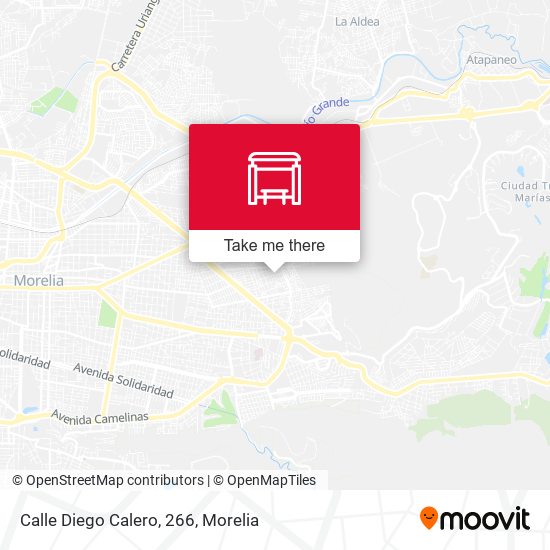 Calle Diego Calero, 266 map