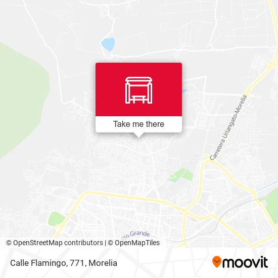 Calle Flamingo, 771 map