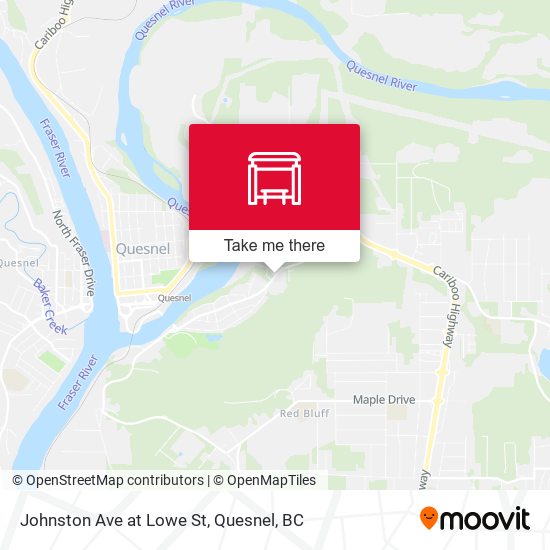 Johnston Ave at Lowe St map