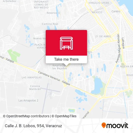 Mapa de Calle J. B. Lobos, 954