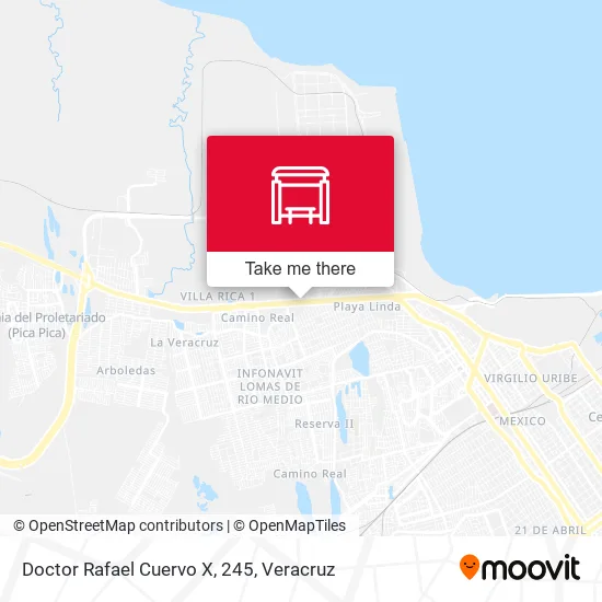 Mapa de Doctor Rafael Cuervo X, 245