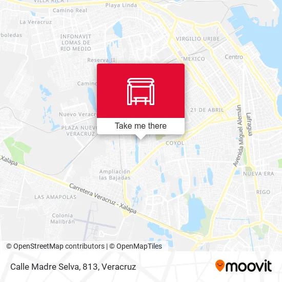 Mapa de Calle Madre Selva, 813
