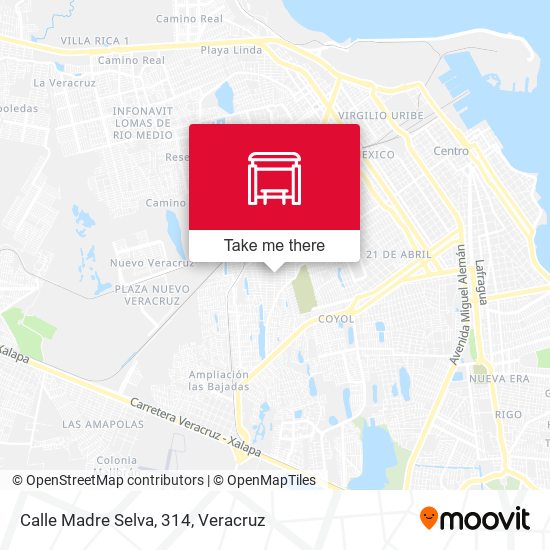 Calle Madre Selva, 314 map