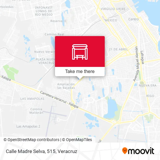 Calle Madre Selva, 515 map