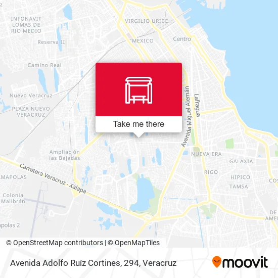 Mapa de Avenida Adolfo Ruíz Cortines, 294